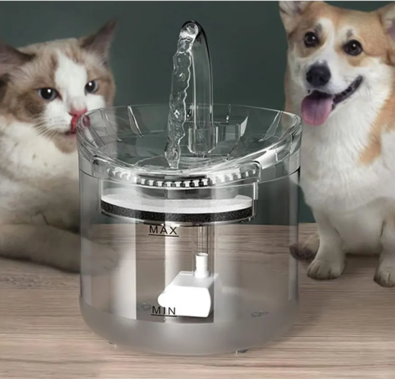 FUENTE MASCOTA 😺🐶